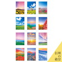 【信州の絶景 ポストカード 12枚入り 風景 自然 写真 長野 信州 パワースポット 絵葉書 おしゃれ 送料込(ネコポス・クロネコゆうパケットで発送)