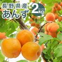 \出荷開始/【5のつく日限定P5倍】【お中元特別価格】【もうすぐ終了 7/4まで】生あんず ジャム用2kg 長野 信州 千曲産 ジャム コンポート 送料込 ※6月下旬頃より順次発送 (沖縄・離島は配送不可)