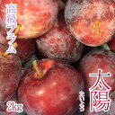 \予約販売/太陽 最高級 プラム 2kg お手ごろサイズ【8月中旬より順次発送予定】