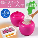 【中高冷菓】 信州クイーンパープル玉 10個入り アイス ジェラート アイスクリーム スイーツ お取り寄せ ギフト プレゼント お中元 フルーツ ブドウ 長野 信州産 送料込(沖縄別途1,590円)