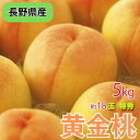 \予約販売/長野県産 黄金桃 お中元 約18玉5キロ 秀品(家庭用)【7月中旬~下旬より出荷予定】送料込 御中元 お中元 父の日 ギフト 信州 長野 桃 (沖縄配送不可)