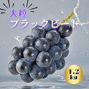 \予約販売/【農家直送】長野県産 【高級黒ぶどう】大粒・種なしブラックビート 1.2kg (2~3房)送料込み (沖縄県・離島地域配送不可) 9月中旬以降から順次発送