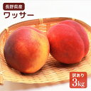 \予約販売/長野県産 【訳あり】ワッサー 3キロ 押しキズありなど【7月下旬〜8月上旬より出荷予定】送料込 御中元 お中元 父の日 ギフト 信州 桃とネクタリン...