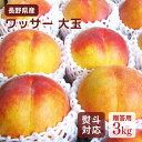 【マルシェの日開催中!P10倍】\予約販売/長野県産 ワッサー 大玉 3キロ 贈答用【7月下旬〜8月上旬より出荷予定】送料込 御中元 お中元 父の日 ギフト 信...