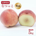 【マルシェの日開催中!P10倍】\予約販売/長野県産 桃 なつっこ 秀品(家庭用) 5kg 18-20玉入り【7月中旬〜7月下旬より順次出荷予定】送料込 御中元...