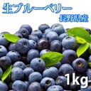 【出荷開始】【長野県産】生ブルーベリー 1キロ【7月中旬〜下旬より出荷予定】 送料込 御中元 お中元 父の日 ギフト 信州 長野 ブルーベリー (沖縄配送不可)