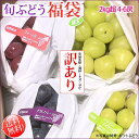 \予約販売/旬のぶどう 【訳あり】 福袋2kgセット4~6房 送料込み (沖縄県・離島地域配送不可) 9月中旬以降から順次発送