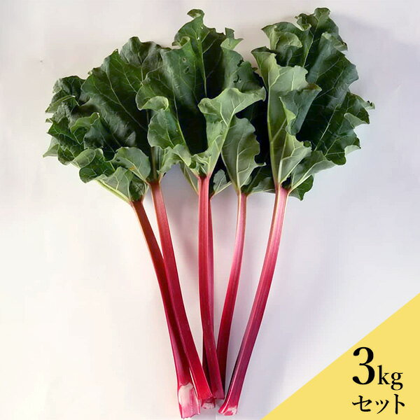 ֤ʥС ӡС 3kg ʲ1,590ߡ˥ե   ù ʪ  ե롼 ...