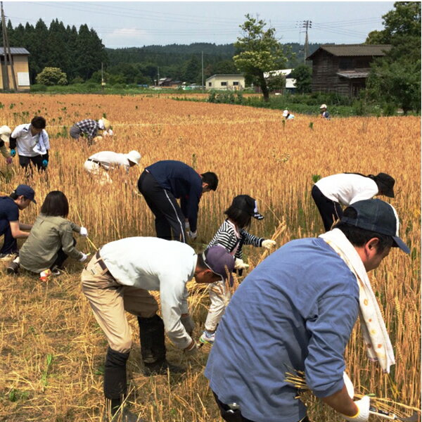 生醤油 郷土の実り　360ml新潟県産生（き）醤油 新潟県産の原料で仕込み、一年間タンクで発酵・熟成 アルコール無添加 そのままボトリングした新潟生まれの生（き）油 3