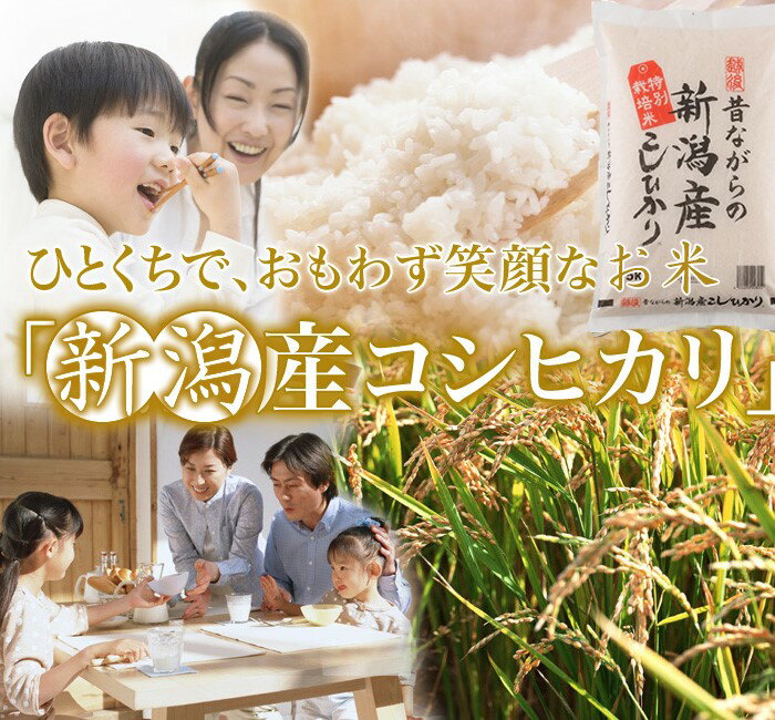 【産地直送】高田屋商店 昔ながらの新潟産こしひかり　5kg 特別栽培米 特栽米 特栽 コシヒカリ 新潟 長岡　農薬・化学肥料5割削減 安心 安全 減農薬 精米機 プレゼント ギフト お祝い 内祝い お返し 景品 3