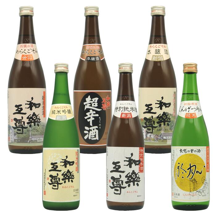 和楽互尊 日本酒6種類 飲み比べ セット 720ml 6本 和楽互尊 金印 超辛酒 特別純米 純米吟醸 本醸造 心月輪純米日本酒 お酒 ギフト 贈り物