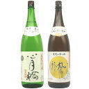 池浦酒造 心月輪 純米吟醸 心月輪 純米酒 1800ml 2本セット日本酒 お酒 ギフト 贈り物