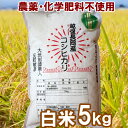 無農薬・化学肥料不使用 新潟 コシヒカリ 白米 5kg 大