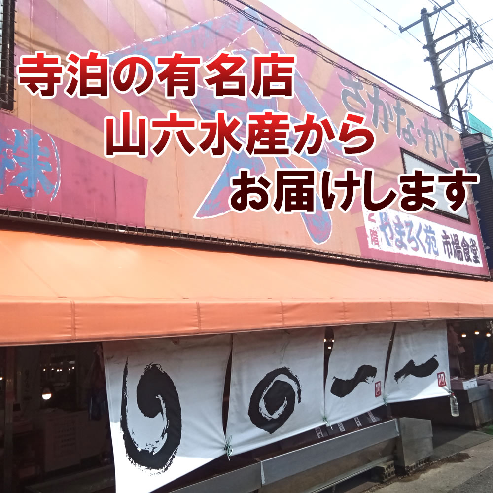 魚のアメ横 寺泊産！自家製　昆布巻き4本入り山六水産株式会社　甘辛いタレ 自家製鮭昆布巻き 鮭と昆布の旨味がたっぷり ご飯のお供お酒のおつまみ 寺泊産の鮭 北海道産の昆布 特製タレ 2