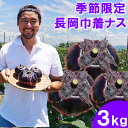 巾着ナス3kg 1個300gのビッグサイズの茄子 長岡野菜の巾着ナスは 地元の特産野菜 巾着な形が特徴 身が引き締まって食べ応え【産地直送】採れたてをすぐにお届...