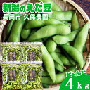 新潟県長岡市産 枝豆 4kg 【冷蔵】久保農園 鮮度 えだまめ エダマメ えだ豆 産地直送 農家直送 採れたてのえだ豆をすぐにお届け ※発送後5日をめどにお召し...