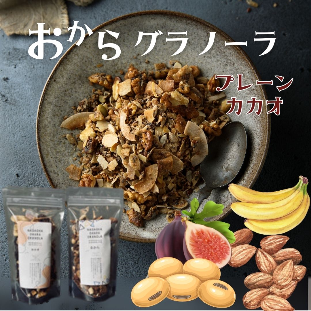 おからグラノーラ プレーン味 カカオ味 各140g 豆と有機オートミールをベースにナッツやドライフルーツを加えた栄養満点のヘルシーグラノーラ ココアパウダーを加えた カカオ味も