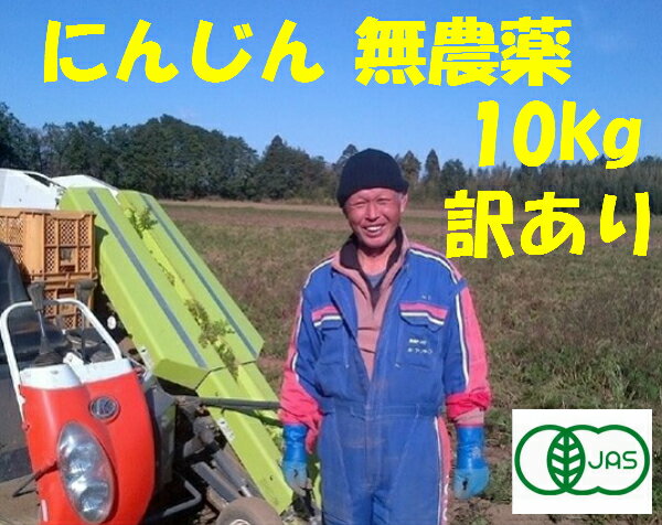 有機 にんじん 無農薬 10kg有機 オーガニック 野菜訳あり 送料無料 ニンジン 無農薬ジュース用 10kg無農薬 にんじん 人参 無農薬 規格外品 有機JAS100％にんじん有機栽培20年以上の実績10キロ