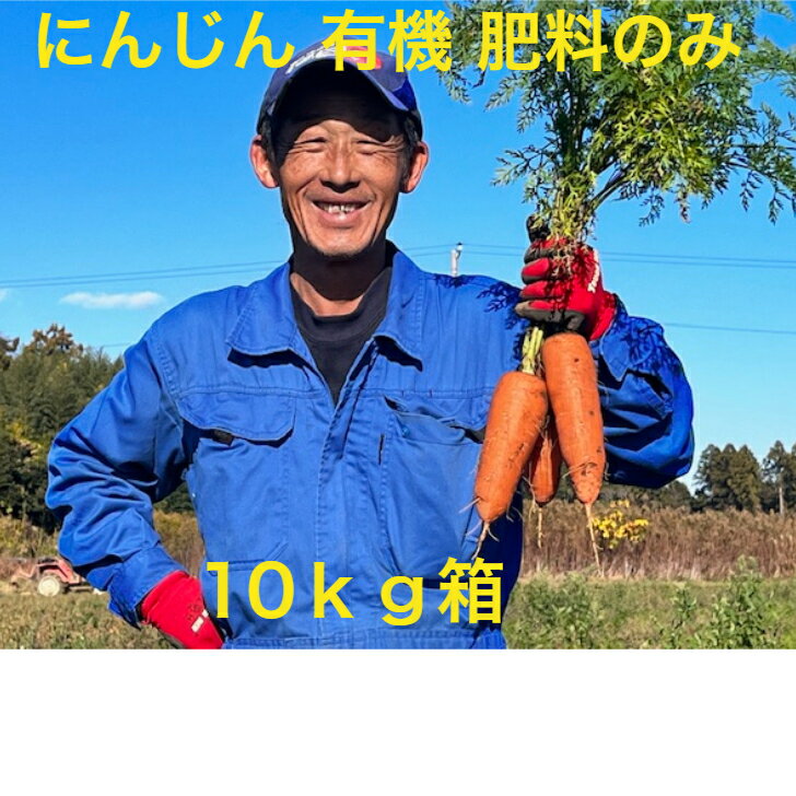 にんじん 有機 肥料のみ 無農薬 10kg有機 オーガニック 野菜 訳あり 送料無料 ニンジン 無農薬ジュース用 10kg無農薬 にんじん 人参 無農薬 規格外