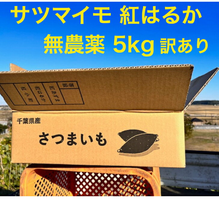 サツマイモ 紅はるか 無農薬 5Kg 有機栽培 サツマイモ5kg 訳あり 送料無料 S～2Lサイズ オーガニック 野菜　無農薬100％規格芋 紅はるか。 にんじん 無農薬で人気の【特別栽培芋】さつま芋 送料無料 有機11年の畑