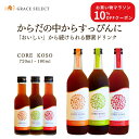 ★マラソンクーポンあり★CORE KOSO ファスティング 酵素 ドリンク 無添加 ダイエット クレンズダイエット 断食 置き換え 飲む腸内洗浄 腸活 健康 美容 食品 グレースセレクト GRACE SELECT コア 酵素 原液 100% 野菜 果物 自然 ギフト《送料無料》