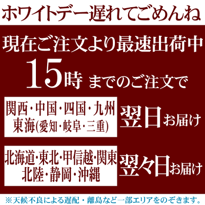 【ホワイトデー】【お返しに】【超早割】プレミアムストロベリーカステラ0.5号【5,500円以上送料無料】WDVP