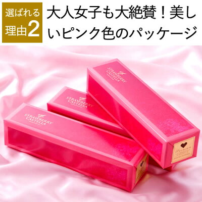 【ホワイトデー】【お返しに】【超早割】プレミアムストロベリーカステラ0.5号【5,500円以上送料無料】WDVP