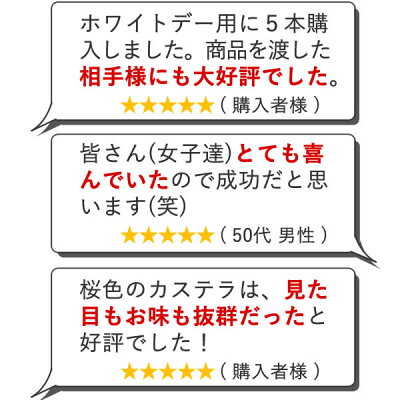 【ホワイトデー】【お返しに】【超早割】プレミアムストロベリーカステラ0.5号【5,500円以上送料無料】WDVP