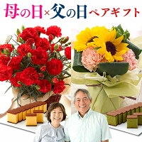 母の日 父の日 ペアギフト [カーネーション 鉢花 フラワー ひまわり ブーケ スイーツ お菓子 和菓子 長崎カステラ 両親 母親 父親 ペア セット 食べ物] 花とスイーツ MDJ6