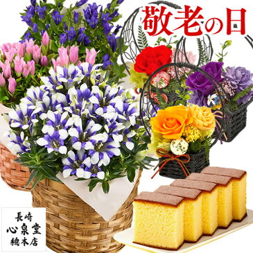 敬老の日 花 プレゼント [ りんどう ギフト 孫 食べ物 スイーツ 竜胆 リンドウ 鉢植え メッセージカード お菓子 和菓子 セット 鉢花 プリザーブドフラワー プリザ 送料無料 長崎 カステラ かすてら 祖母 ] 花とスイーツ KR12