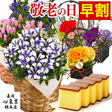 【クーポン発行中】 敬老の日 花 プレゼント [ 早割 りんどう ギフト 孫 食べ物 スイーツ 竜胆 リンドウ 鉢植え メッセージカード お菓子 和菓子 セット 鉢花 プリザーブドフラワー プリザ 送料無料 長崎 カステラ かすてら 祖母 ] 花とスイーツ KR12