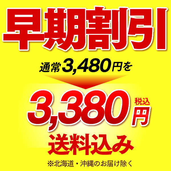 【クーポン発行中】 敬老の日 プレゼント 長崎カステラと和菓子 [ 早割 ギフト 食べ物 スイーツ 孫 メッセージカード 和菓子 セット 詰合せ お菓子 最中 もなか せんべい 煎餅 カステラ かすてら 長崎 詰め合わせ ギフトセット 食品 老舗 ] 華優 KRNK