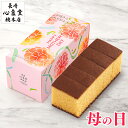 母の日 プレゼント [ カステラ 1500円 ギフト 食べ物 スイーツ 和菓子 お菓子 食品 グルメ 母 義母 お母さん 40代 50代 60代 70代 80代 贈り物 老舗 高級 お取り寄せ ランキング 長崎心泉堂 ] 幸せの黄色いカステラ ハーフ サイズ 0.3号 5切 MDTY