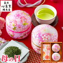 京都 お茶 送料無料 新茶 蔵出し（50g×2）高級和紙袋入り お祝 還暦 喜寿 快気祝い【ポスト投函便・日時指定代金引換不可】