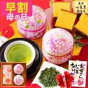 【4/26お値段上がります】 母の日 お茶 [ 早割 お茶とお菓子セット お茶とお菓子 プレゼント ギフト 緑茶 和菓子 詰め合わせ 贈り物 誕生日 お祝い 手土産 ランキング 長崎心泉堂 ] 日本茶と長崎カステラ0.3号 ハーフ 5切れ MD4P