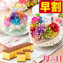 母の日 早割 プレゼント 花 [ ギフト スイーツ セット 和菓子 お菓子 誕生日プレゼント プリザーブドフラワー 送料無料 カステラ ギフト お祝い お誕生日 母 義母 お母さん ランキング 長崎心泉堂 ] カスミソウと長崎カステラ MDVK