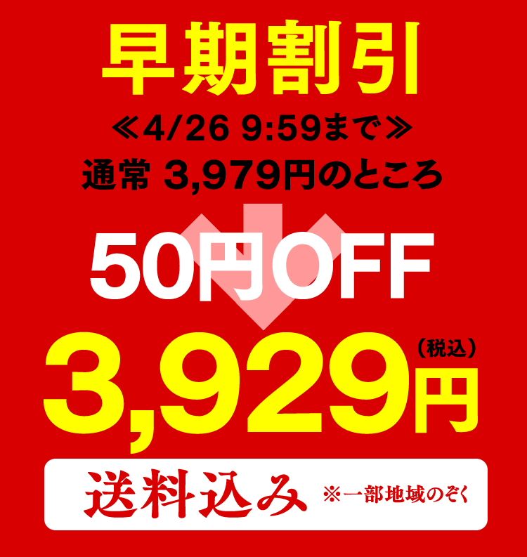 【4/26お値段上がります】 母の日 お茶 [ 早割 お茶とお菓子セット お茶とお菓子 プレゼント ギフト 緑茶 和菓子 詰め合わせ 贈り物 誕生日 お祝い 手土産 ランキング 長崎心泉堂 ] 日本茶と長崎カステラ0.3号 ハーフ 5切れ MD4P