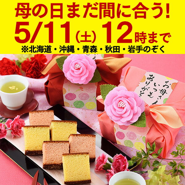 【5/16お値段上がります】 父の日 早割 和菓子 [ ギフト プレゼント カステラ どら焼き 最中 お菓子 スイーツ 食べ物 ギフトセット 父 義父 お父さん 50代 60代 70代 80代 お取り寄せ ランキング 長崎心泉堂 ] スイーツセット 和まごころ FDJ9