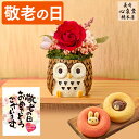敬老の日 プレゼント ふくろう [ 花 スイーツ 洋菓子 ギフト プレゼント 祖母 おばあちゃん 食べ物 プリザ ドーナッツ 送料無料 長崎心泉堂 ランキング ...