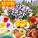 敬老の日 花 お菓子 [ 早割 りんどう スイーツ プレゼント 鉢植え 花鉢 プリザーブドフラワー シャボンフラワー ギフト 生花 選べるセット set 和菓子...
