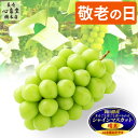 敬老の日 フルーツ シャインマスカット [ 早割 ピオーネ 果物 プレゼント ギフト 送料無料 岡山 贈答用 大粒 果物 化粧箱入 食べ物 グルメ 誕生日 果物...