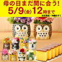 【緊急クーポン まだ間に合う】 母の日 プレゼント [ 花 プリザーブドフラワー ギフト お菓子 ギフト 食べ物 スイーツ プリザ カステラ 和菓子 長崎心泉堂...