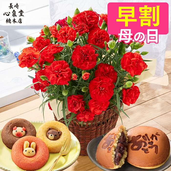 母の日 カーネーション お菓子 [ 早割 花 スイーツ 鉢植え どら焼き ドーナッツ プレゼント フラワー お菓子 和菓子 送料無料 誕生日プレゼント ギフト お祝い お誕生日 母 女性 ランキング 長崎心泉堂 ] スイーツ セット MD8Aのサムネイル