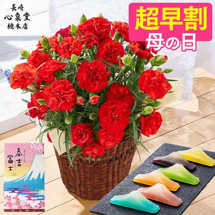 母の日 カーネーション お菓子 羊羹 [ 早割 花 スイーツ 鉢植え プレゼント フラワー お菓子 和菓子 送料無料 誕生日プレゼント ギフト お祝い お誕生日 母 女性 ランキング 長崎心泉堂 ] 富士山ようかん セット MD4Yのサムネイル