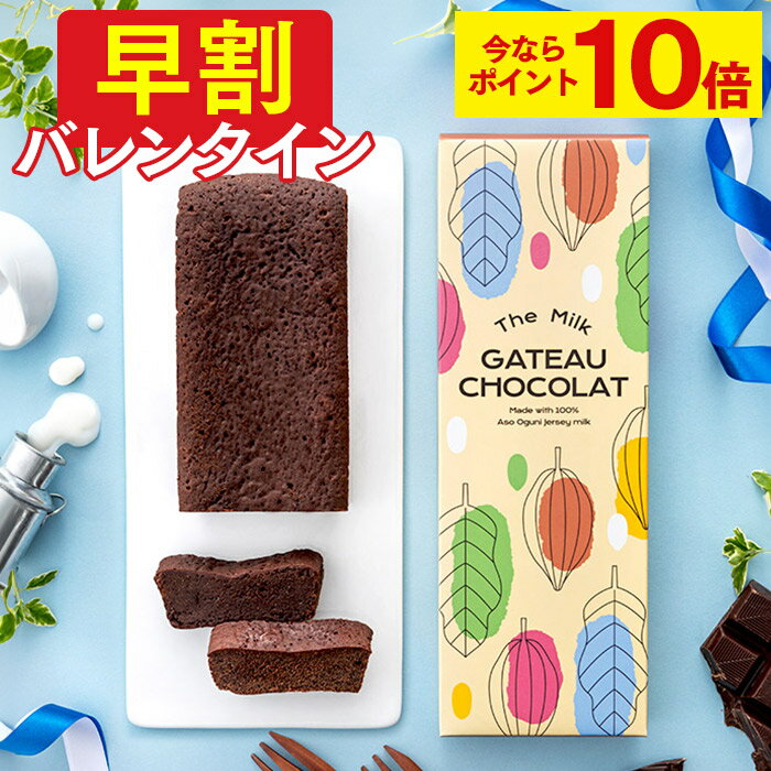 【ポイント10倍★1/16(木)7:59まで】 バレンタイン お菓子 [ 早割 ケーキ 洋菓子 義理チョコ チョコ チョコレート スイーツ ギフト バレンタインデー 限定 おしゃれ おすすめ 人気 大量 お配り プレゼント 会社 職場 ランキング 長崎心泉堂 ] ミルク ガトーショコラ VDOK