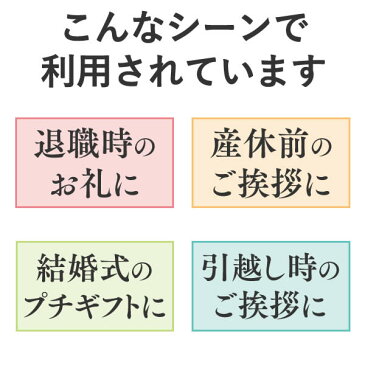 プチギフト お菓子 カステラ 個包装 [ 退職 お礼 結婚式 出産 内祝い 産休 プチ 焼き菓子 引越し 挨拶 ギフト お世話になりました ありがとう 300円 500円以下 お歳暮 お年賀 おしゃれ かわいい メッセージ ノベルティ プレゼント 異動 記念品 女性 スイーツ 冬ギフト] TK20