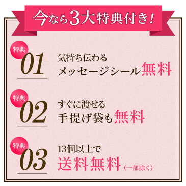 プチギフト [退職 お礼 お菓子 産休 引っ越し挨拶ギフト 内祝い 引越し] 個包装 [送別会 お返し 卒園 転勤 結婚式 おしゃれ お世話になりました メッセージ 300円 500円 感謝 安い カステラ おすすめ ありがとう 女性 大量 配る お礼の品 かわいい] TK20