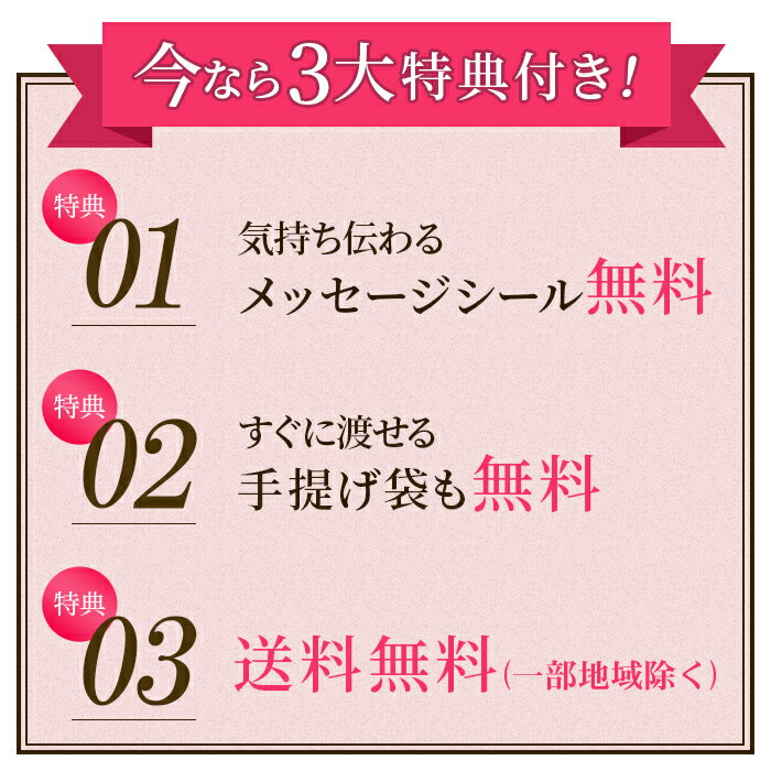 [退職 お礼 プチギフト お菓子] カステラ 個包装 100個 [ホワイトデー チョコ以外 義理 送料無料 退職時 和菓子 転勤 異動 送別会 300円 おしゃれ 卒業 お礼 先生 ありがとう お返し メッセージ プレゼント 可愛い スイーツ 産休 カステラ 差し入れ]TK20x100