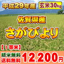 【平成29年産】佐賀県産 さがびより【食味評価特A】【精米無...