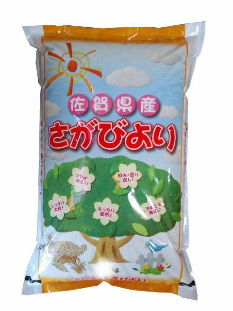 【令和1年産】佐賀県産 さがびより【送料無料】【白米10kg】【九州の米】